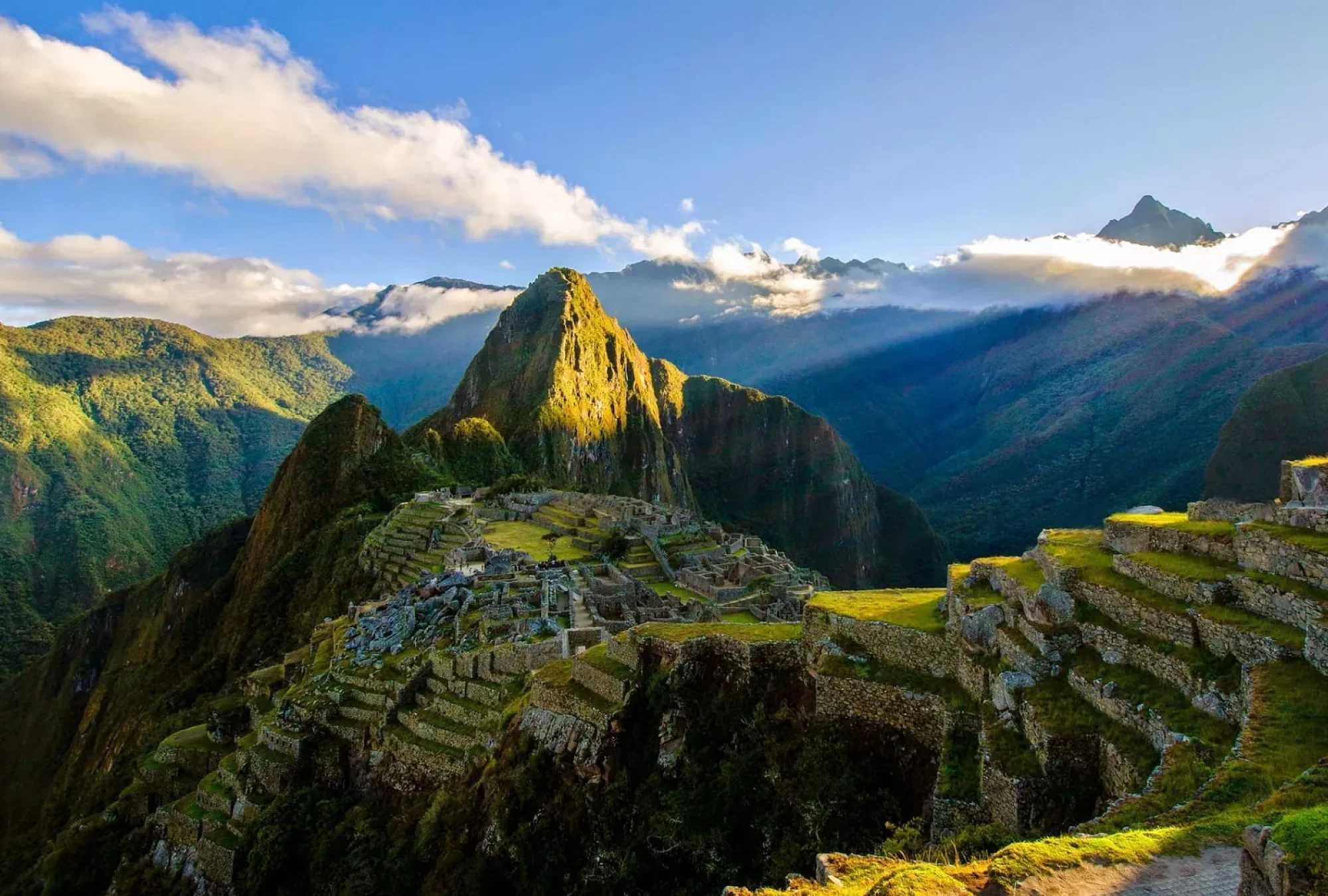 Mapi