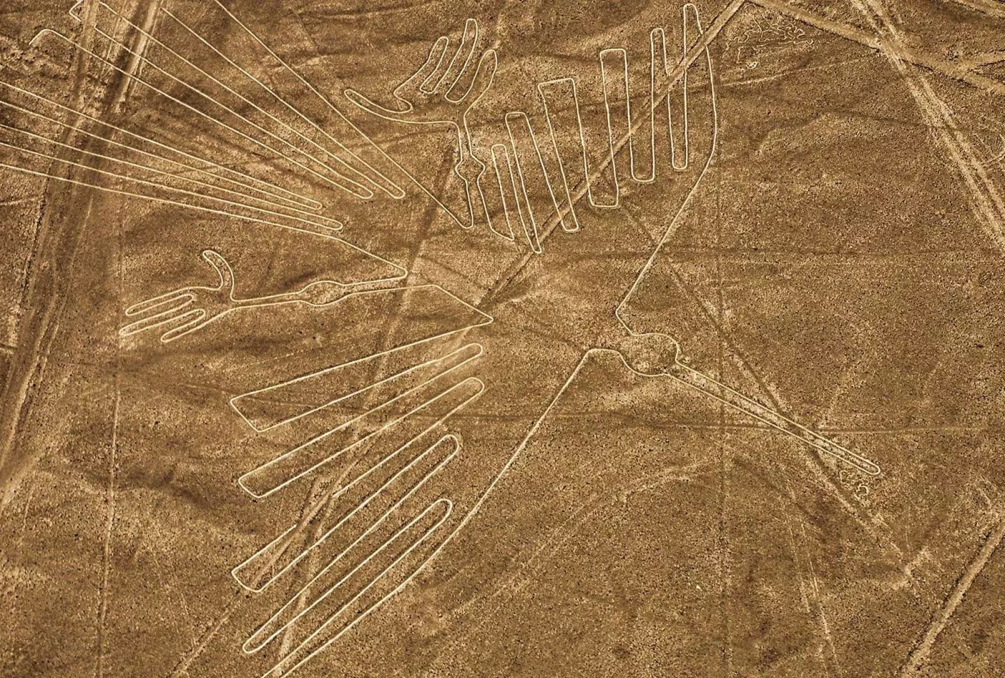 linea-de-nasca